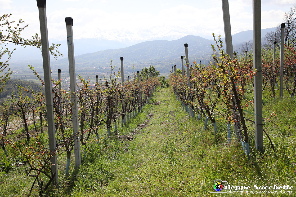 VBS_7427 - PressTour educational dedicato ai vini del Pinerolese e all’olio prodotto sulla collina di Pinerolo.jpg